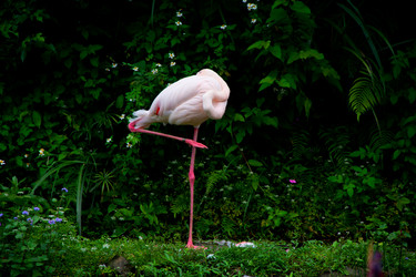 Similar image 1429983