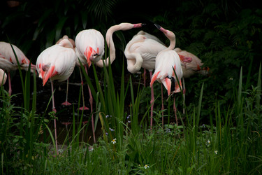 Similar image 1429984