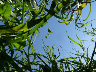 Similar image 1430013