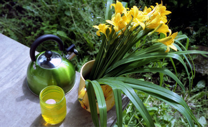 Similar image 1430034