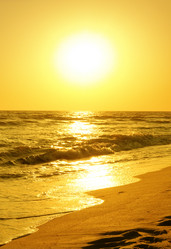 Similar image 1430039