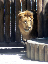 Similar image 1430060