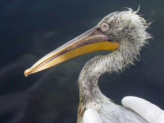 Similar image 1430061