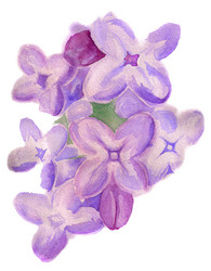 Similar image 1430078