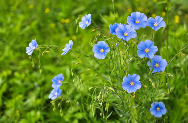 Similar image 1430108