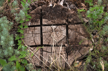 Similar image 1430113