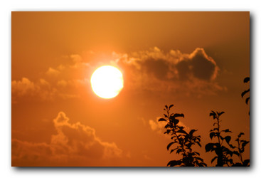 Similar image 1430121