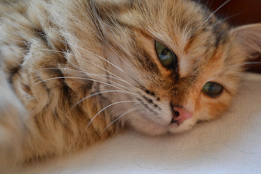 Similar image 1430124