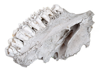 Similar image 1430160