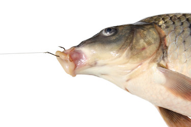 Similar image 1430161