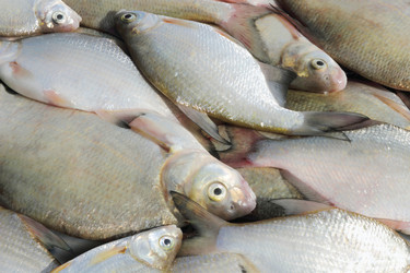 Similar image 1430164