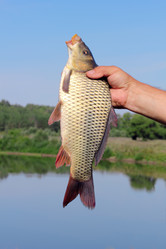 Similar image 1430166