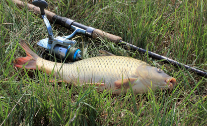 Similar image 1430167