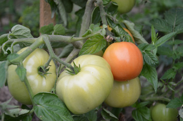 Similar image 1430179