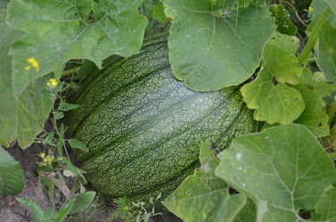 Similar image 1430180