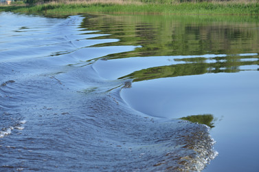 Similar image 1430181