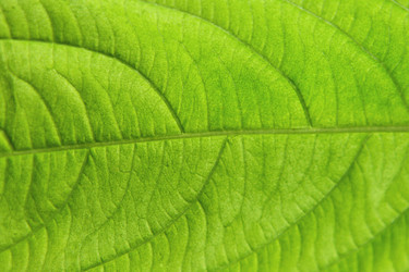 Similar image 1430222