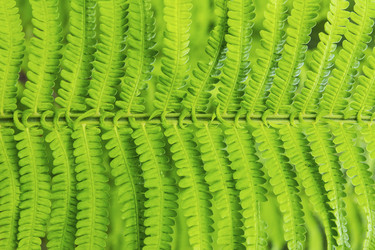 Similar image 1430223