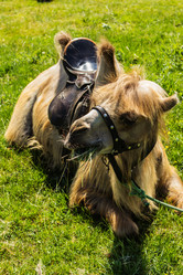 Similar image 1430226