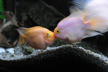 Similar image 1430236