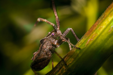 Similar image 1430241