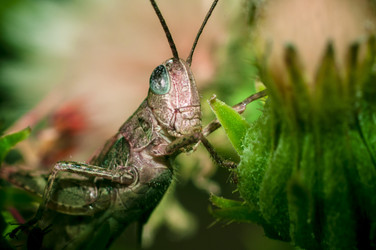 Similar image 1430243