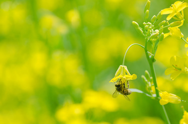 Similar image 1430246