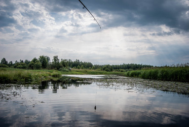 Similar image 1430259