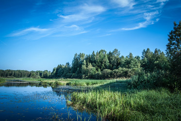 Similar image 1430261