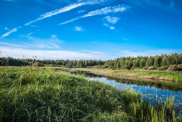 Similar image 1430264