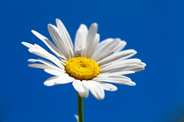 Similar image 1430329