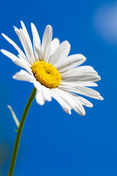 Similar image 1430330