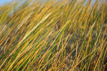 Similar image 1430356