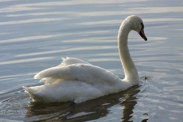 Similar image 1430449