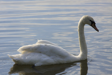 Similar image 1430450