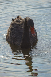 Similar image 1430452