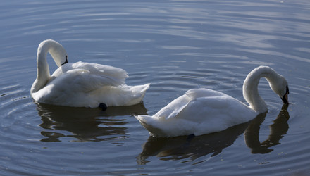 Similar image 1430455