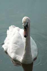 Similar image 1430462