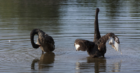 Similar image 1430463