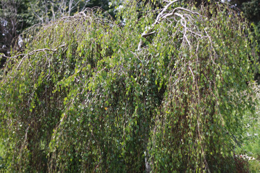 Similar image 1430466