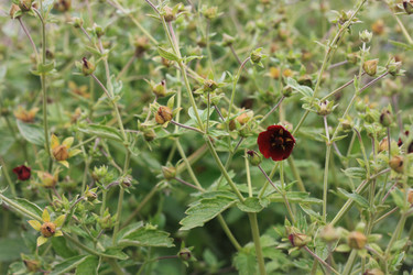 Similar image 1430488