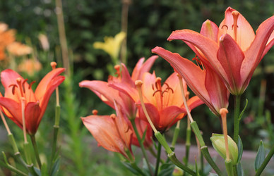 Similar image 1430490