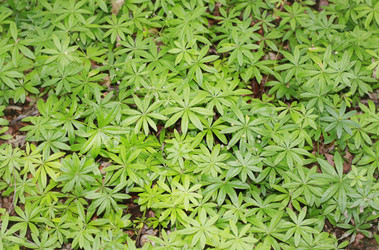 Similar image 1430493