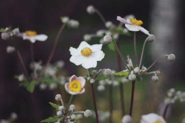 Similar image 1430495