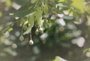 Similar image 1430496