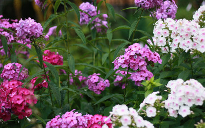 Similar image 1430506