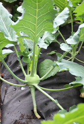 Similar image 1430538