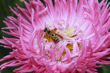 Similar image 1430541