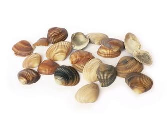 Similar image 1430558