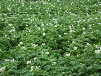 Similar image 1430579